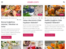 'cicek.com' screenshot