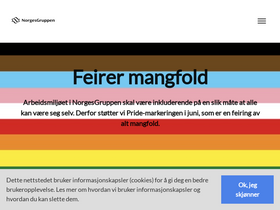 'norgesgruppen.no' screenshot