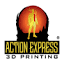 actionexpress3d.com