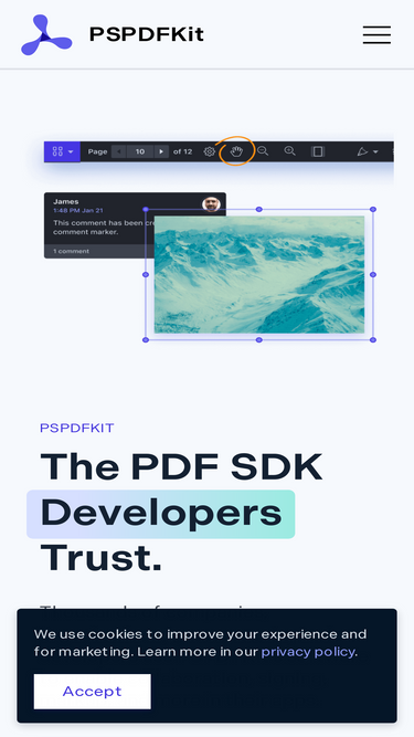 pspdfkit.com