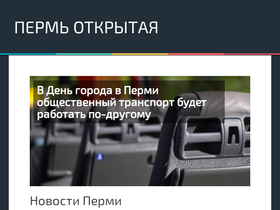 'perm-open.ru' screenshot