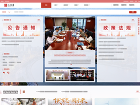 'shtong.gov.cn' screenshot