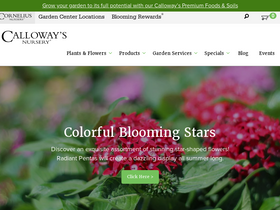 'calloways.com' screenshot