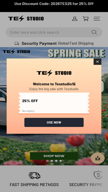 tesstudio.us