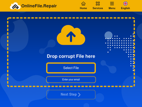 'onlinefile.repair' screenshot