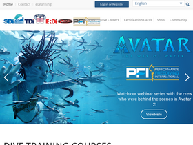 'tdisdi.com' screenshot