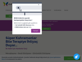 'evimdekipsikolog.com' screenshot