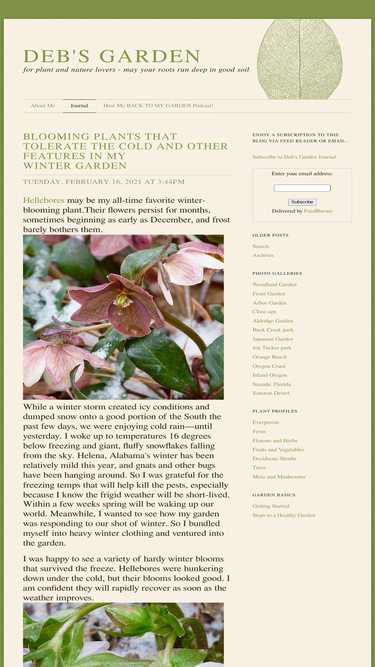debsgarden.squarespace.com