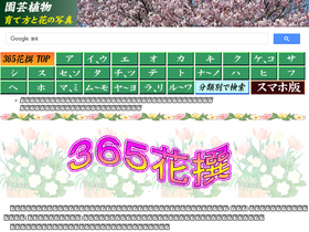 'flower365.jp' screenshot