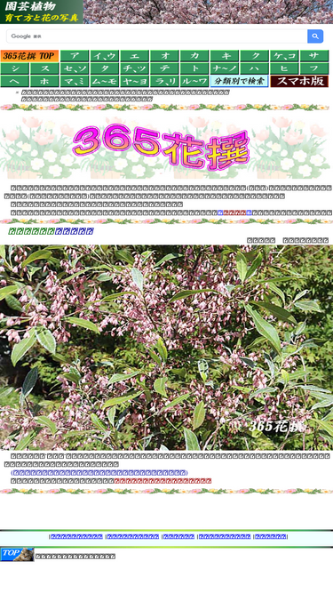 flower365.jp