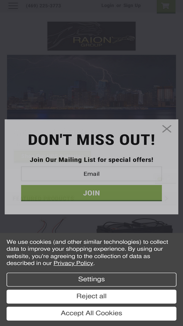 raiongroup.com