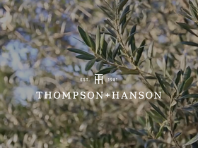 thompsonhanson.com