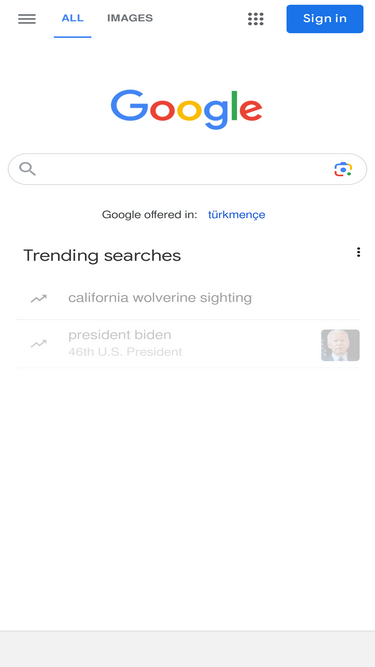 google.tm