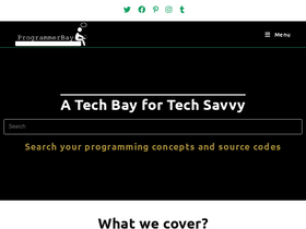 'programmerbay.com' screenshot