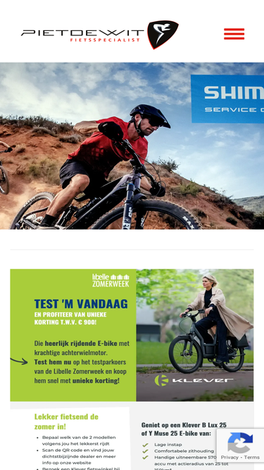 pietdewit.nl