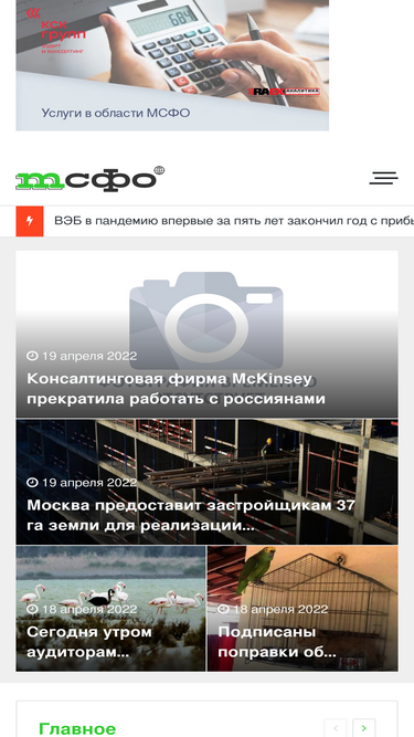 msfo.ru