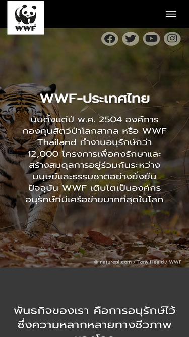 wwf.or.th