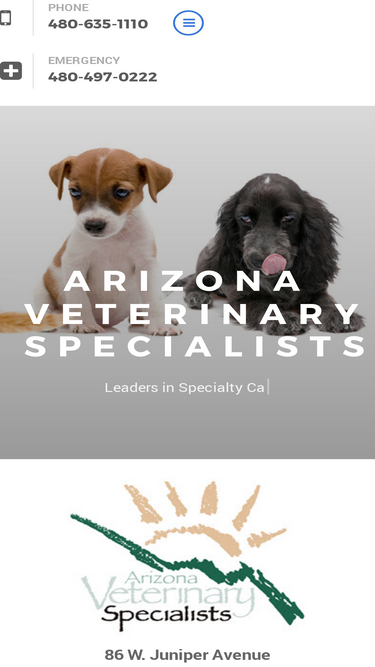azvs.com