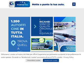 'puntopro.it' screenshot