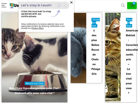 'univers-chat.com' screenshot