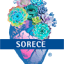 sorece.org