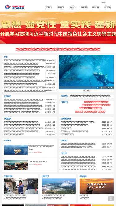 cnooc.com.cn
