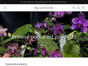 bigleaforchids.com
