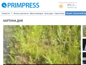 'primpress.ru' screenshot