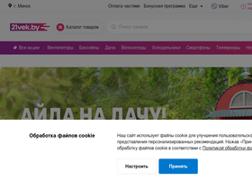 '21vek.by' screenshot