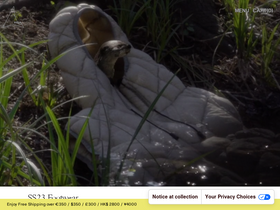 'roa-hiking.com' screenshot