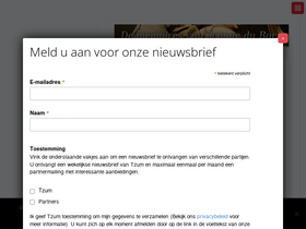 'tzum.info' screenshot