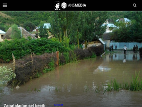 'anspress.com' screenshot