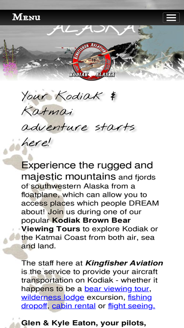 kingfisheraviation.com