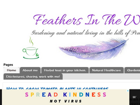 'feathersinthewoods.com' screenshot