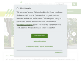 'rsag.de' screenshot