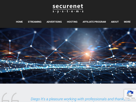 'securenetsystems.net' screenshot