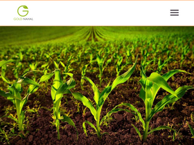 'goldnahal.ir' screenshot