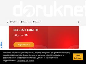 'doruk.net.tr' screenshot