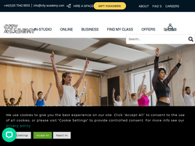 'city-academy.com' screenshot