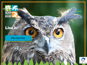 'zoomiami.org' screenshot