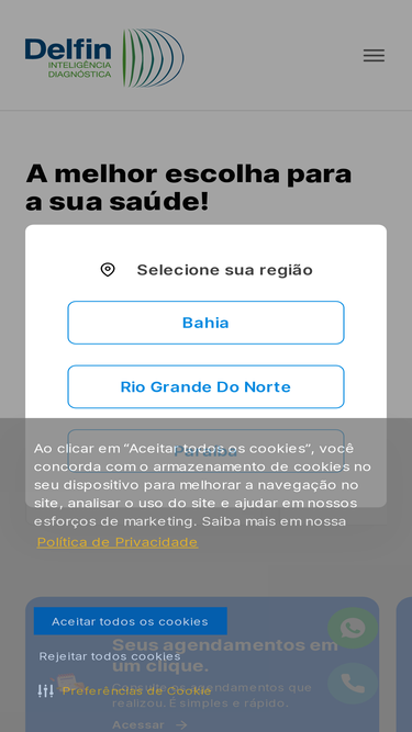 delfindiagnosticos.com.br