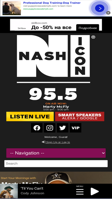 955nashicon.com