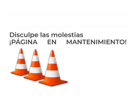 'conevyt.org.mx' screenshot