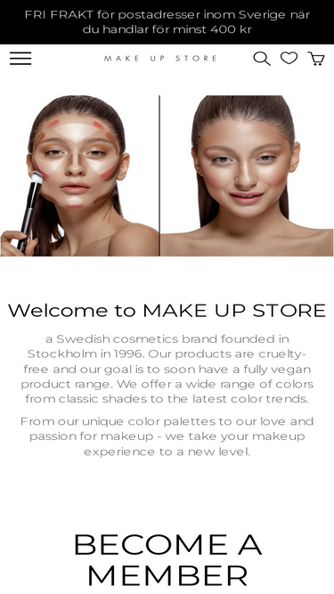 makeupstorecosmetics.com