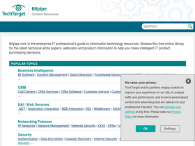 'bitpipe.com' screenshot