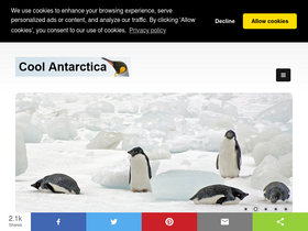 'coolantarctica.com' screenshot