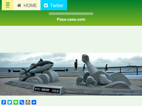 'pass-case.com' screenshot