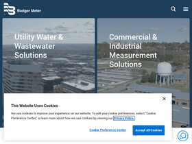 'badgermeter.com' screenshot