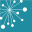 nepacena.com