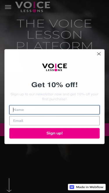 voicelessons.com